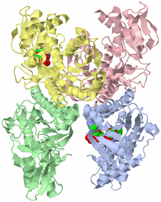 Image Asym./Biol. Unit