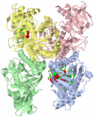 Image Asym./Biol. Unit - sites