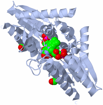 Image Biological Unit 1