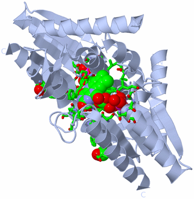 Image Biol. Unit 1 - sites