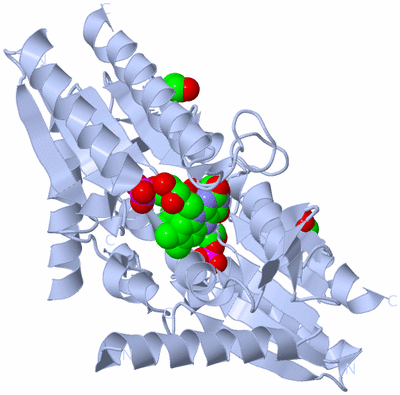 Image Biological Unit 1