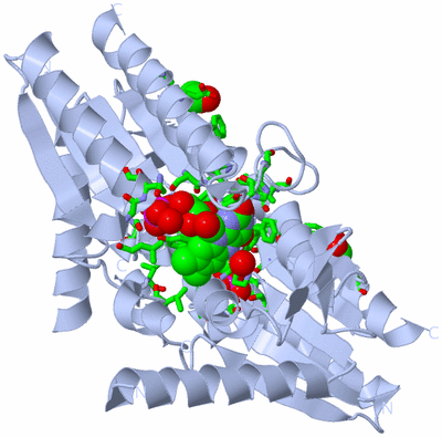 Image Biol. Unit 1 - sites