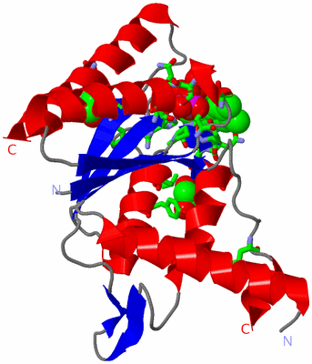 Image Asym. Unit - sites