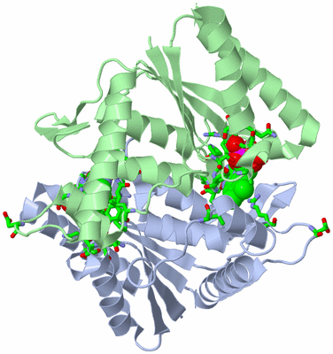 Image Asym./Biol. Unit - sites