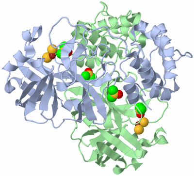 Image Asym./Biol. Unit