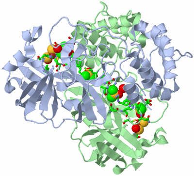 Image Asym./Biol. Unit - sites