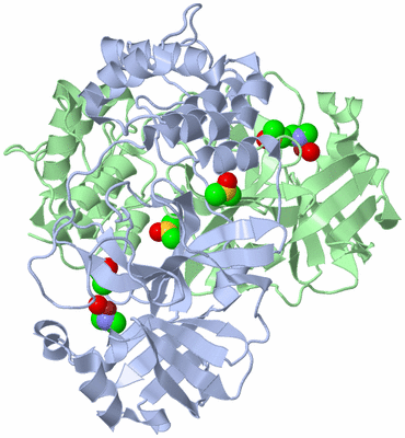 Image Asym./Biol. Unit