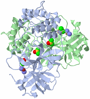 Image Asym./Biol. Unit