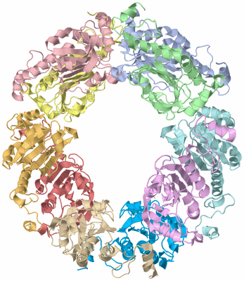 Image Asym./Biol. Unit