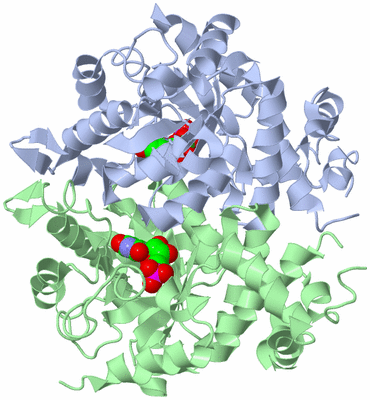 Image Asym./Biol. Unit