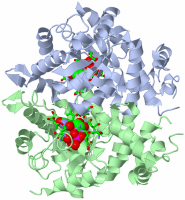 Image Asym./Biol. Unit - sites