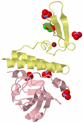 Image Biological Unit 2