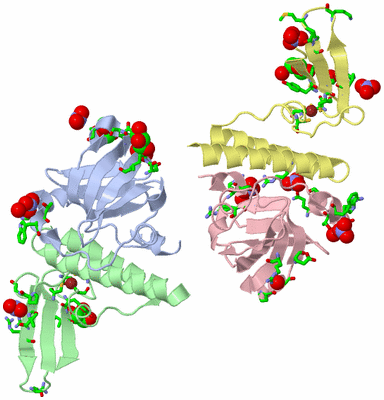 Image Asym. Unit - sites