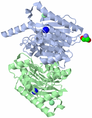 Image Asym./Biol. Unit