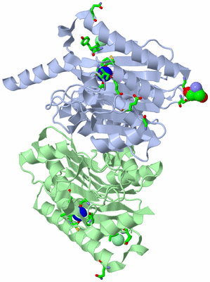 Image Asym./Biol. Unit - sites