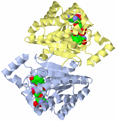 Image Biological Unit 2