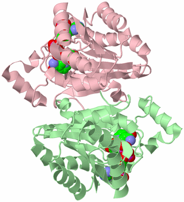 Image Biological Unit 3