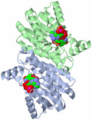 Image Biological Unit 5