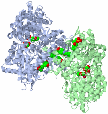 Image Asym./Biol. Unit