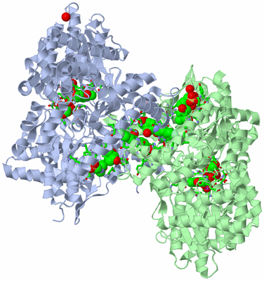 Image Asym./Biol. Unit - sites