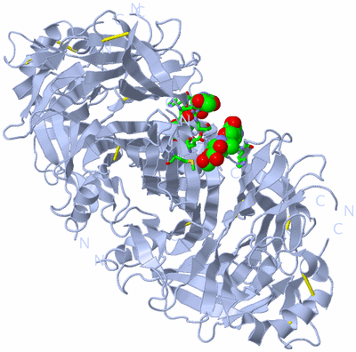 Image Biol. Unit 1 - sites