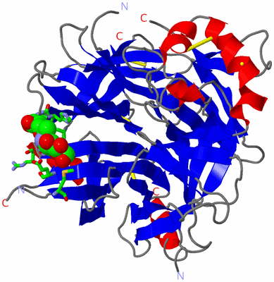 Image Asym. Unit - sites