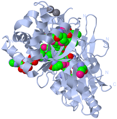 Image Biological Unit 1