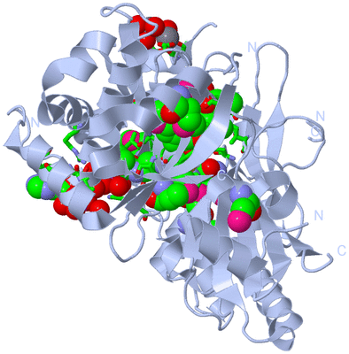 Image Biol. Unit 1 - sites