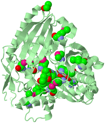 Image Biological Unit 2