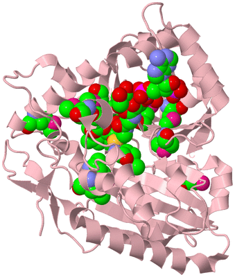 Image Biological Unit 3