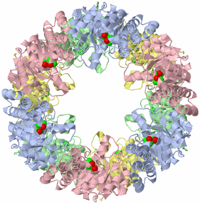 Image Biological Unit 1