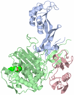 Image Biological Unit 1