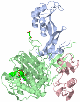 Image Biol. Unit 1 - sites