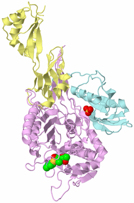 Image Biological Unit 2