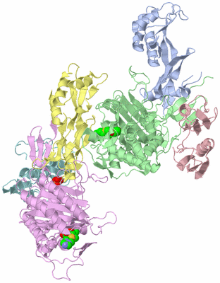 Image Biological Unit 3