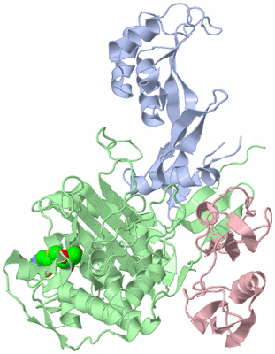 Image Biological Unit 1