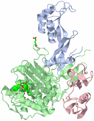 Image Biol. Unit 1 - sites