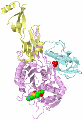 Image Biological Unit 2