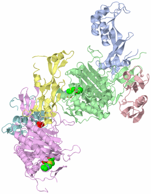 Image Biological Unit 3