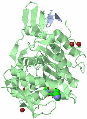 Image Biological Unit 1