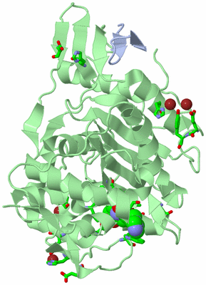 Image Biol. Unit 1 - sites