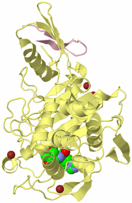 Image Biological Unit 2