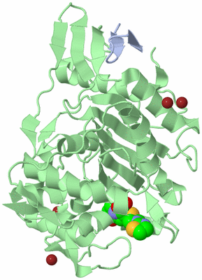 Image Biological Unit 1