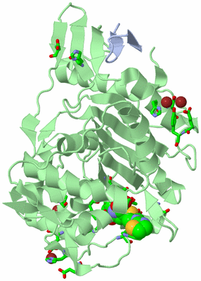 Image Biol. Unit 1 - sites