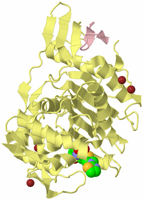 Image Biological Unit 2