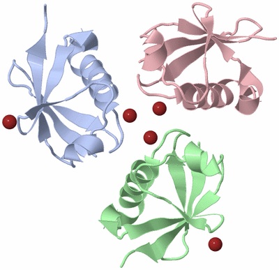 Image Biological Unit 4