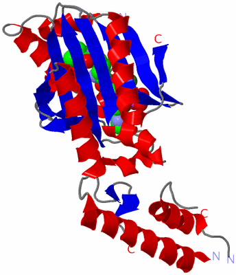 Image Asymmetric Unit