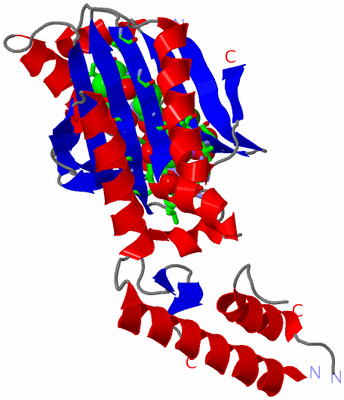 Image Asym. Unit - sites