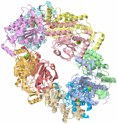 Image Asym./Biol. Unit