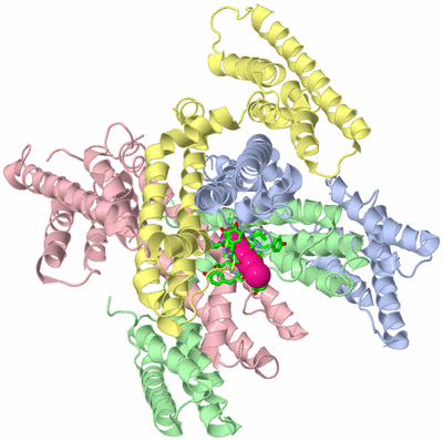 Image Asym./Biol. Unit - sites